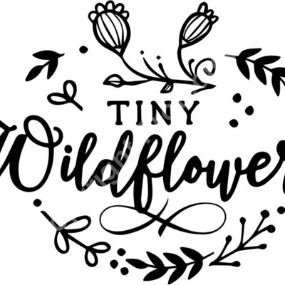 tiny wildflower Thumbnail