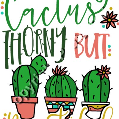 Life Is Like A Cactus Thumbnail