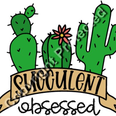 Succulent Obsessed Thumbnail
