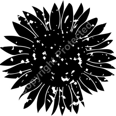 distressed black Thumbnail