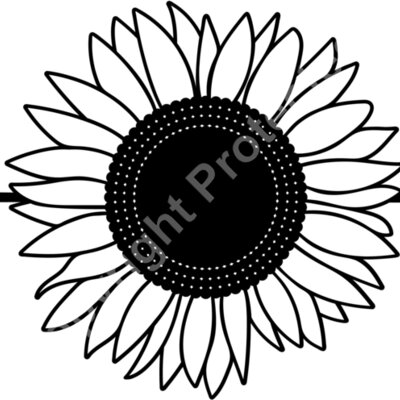 sunflower arrow 2 Thumbnail