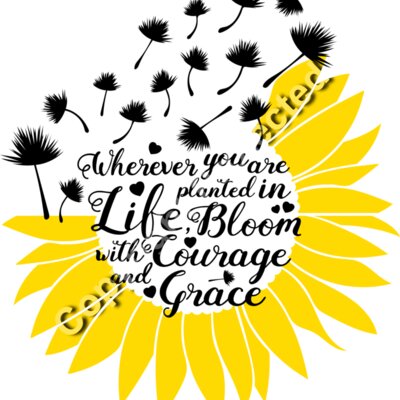 dandelion sunflower Thumbnail