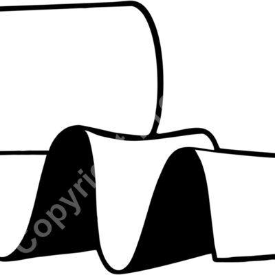 toilet paper1 Thumbnail