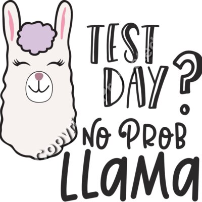 Test Day No Prob Llama Thumbnail