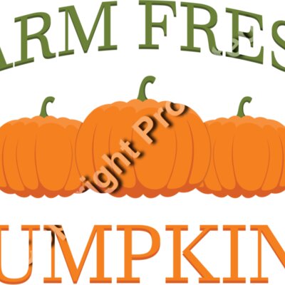 fresh pumpkins 01 Thumbnail