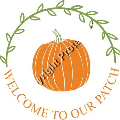 pumpkin patch 2 01 Thumbnail