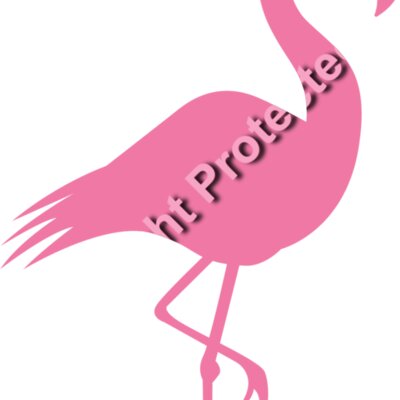 Flamingo 01 Thumbnail