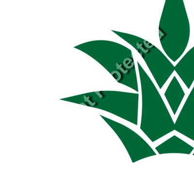 pinapples a  2  Thumbnail