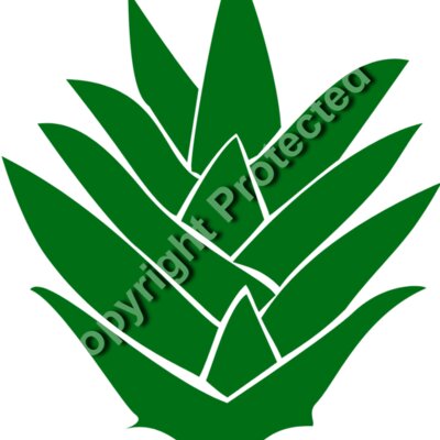 pineapple 05 Thumbnail