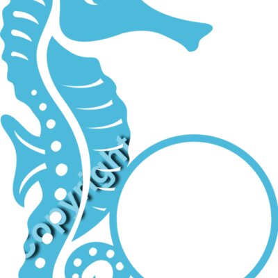 Seahorse 02 Thumbnail