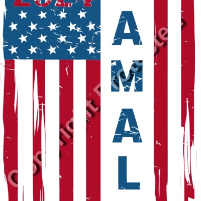Kamala Harris 2024 campaign graphic with American flag and bold text design Thumbnail
