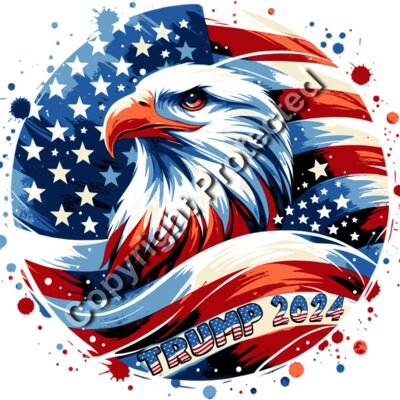 trump 2024 eagle american flag patriotic artwork Thumbnail